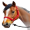 horse face rein5